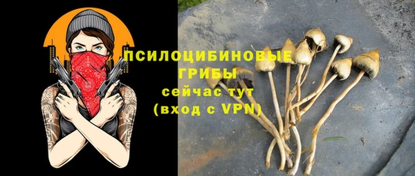 не бодяженный Бородино