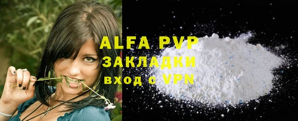 прущие грибы Белоозёрский