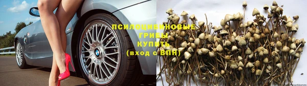 ПСИЛОЦИБИНОВЫЕ ГРИБЫ Бронницы